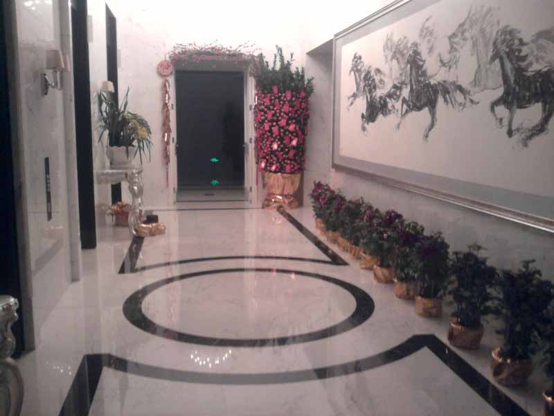 重(zhong)慶植物(wù)租賃公(gōng)司