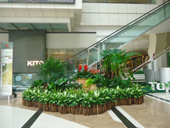 重(zhong)慶植物(wù)租擺室內(nei)裝(zhuang)飾
